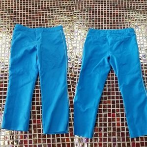 Blue With White Pin Stripped Dress Pants